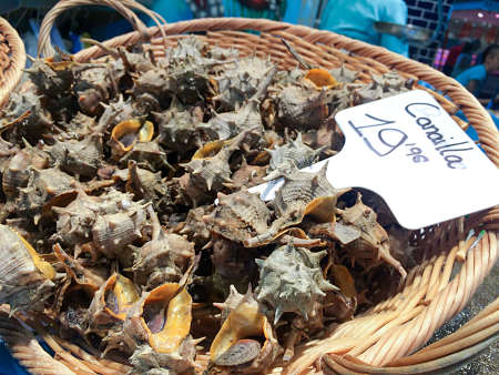 Murici di mare freschissimiiii