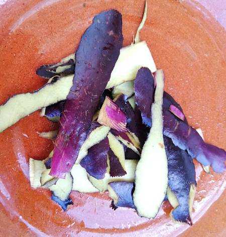 Bucce ricavate da melanzane oblunghe in piatto di ceramica