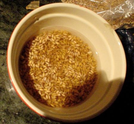 Orzo decoticato a bagno nell'acqua