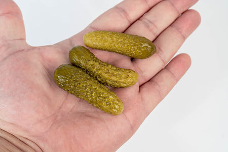 Piccoli cetrioli sott'aceto nella mano