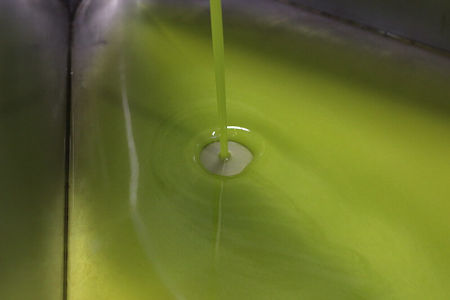 Aspetto dell olio extravergine di oliva non filtrato