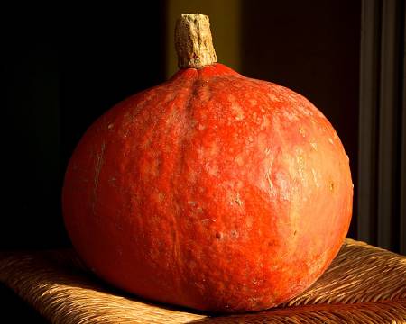 Zucca tonda piemontese