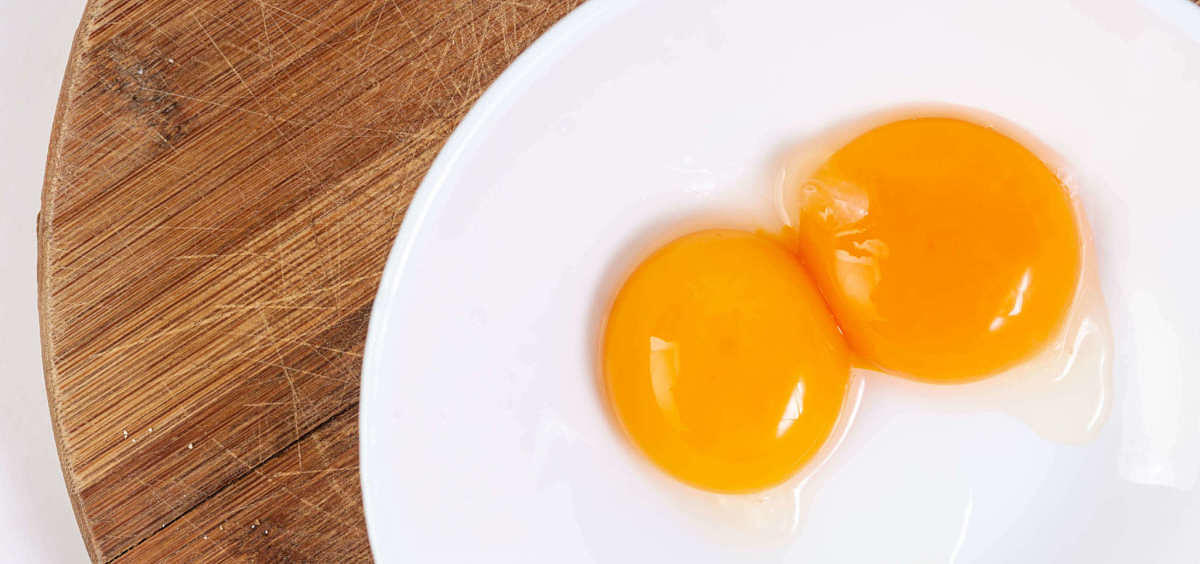 Uova crude pastorizzate alla perfezione senza alcun coagulo Uova crude pastorizzate rimaste inalterate