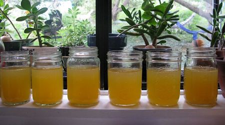 Brodo in barattoli di vetro non riempiti del tutto