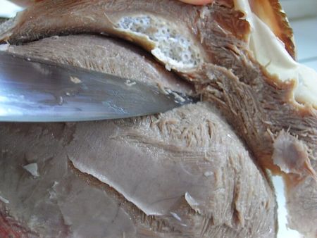 Come spellare la lingua cotta con un coltello affilato