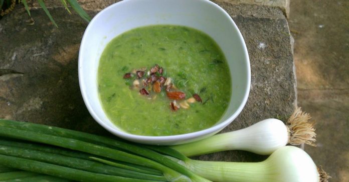 Appetitosa crema di piselli e cipollotti appena preparata Vellutata di cipollotti e piselli in ciotola di ceramica