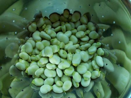 Fave sgranate nel colapasta