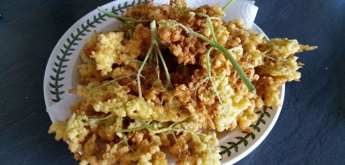 Fiori di sambuco fritti nel piatto