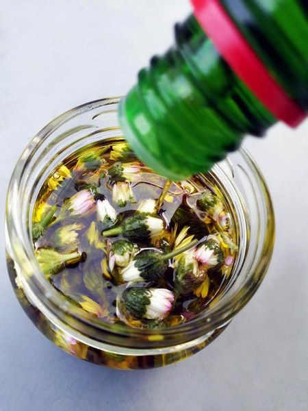 Pratoline messe a macerare in olio di oliva