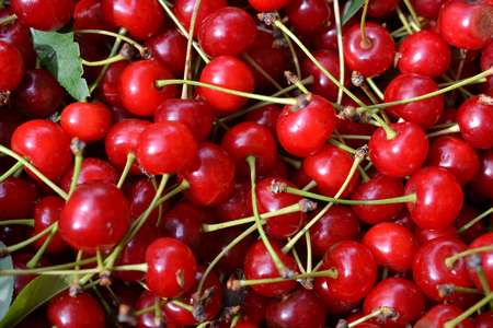 Amarene mature ma sode