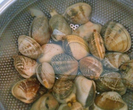 Come sciacquare le vongole spurgate in abbondante acqua