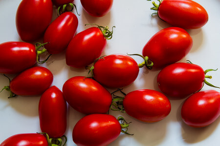 Pomodori San Marzano maturi e sodi appena raccolti