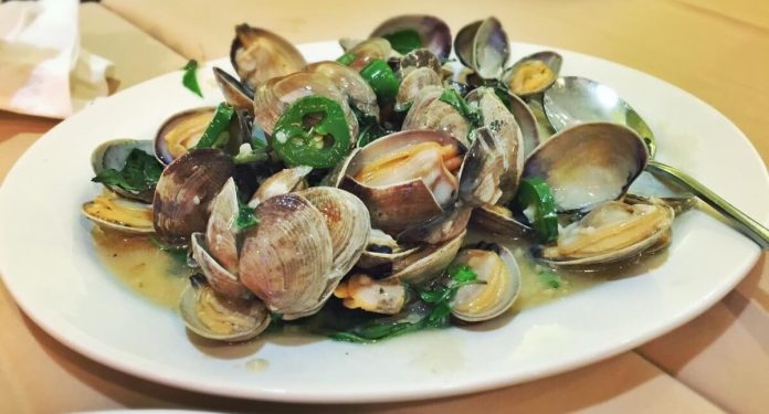 Piatto contenente sautè di vongole cucinato alla perfezione