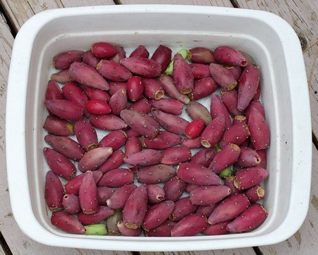 Bacinella contenente fichi d'india in ammollo nell'acqua