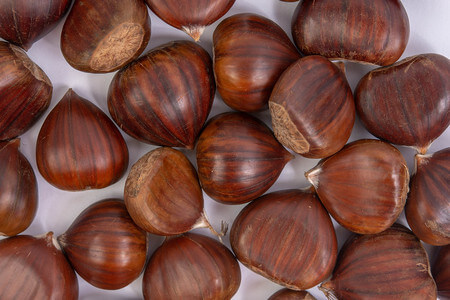 Castagne integre adatte ad essere essiccate