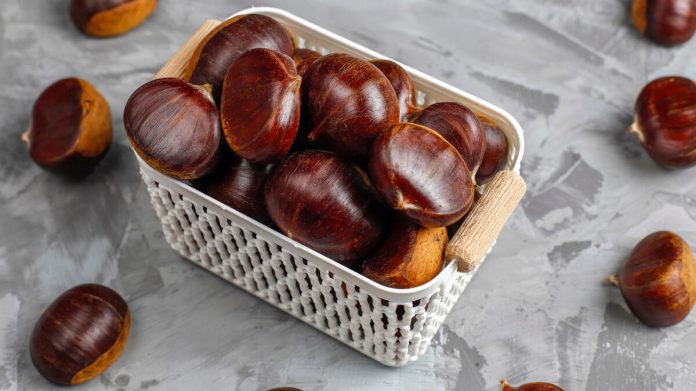 Castagne conservate in un cestino