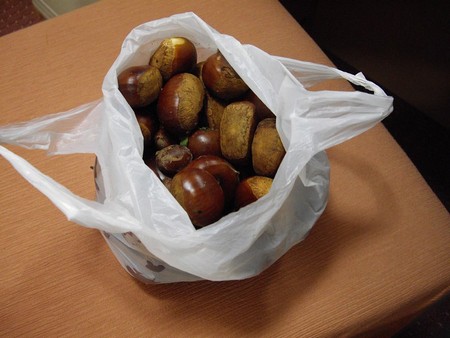 Castagne ammassate in un sacchetto di plastica