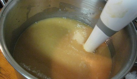 Vellutata frullata con il minipimer