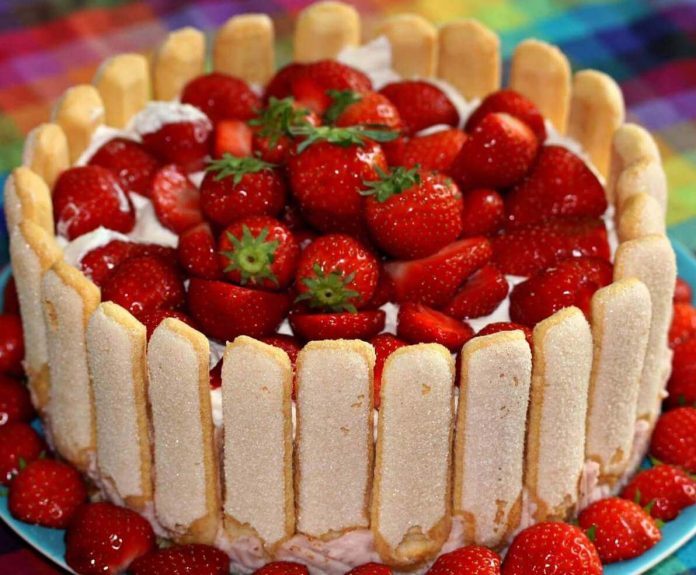 Torta Charlotte di Natale fatta senza cottura