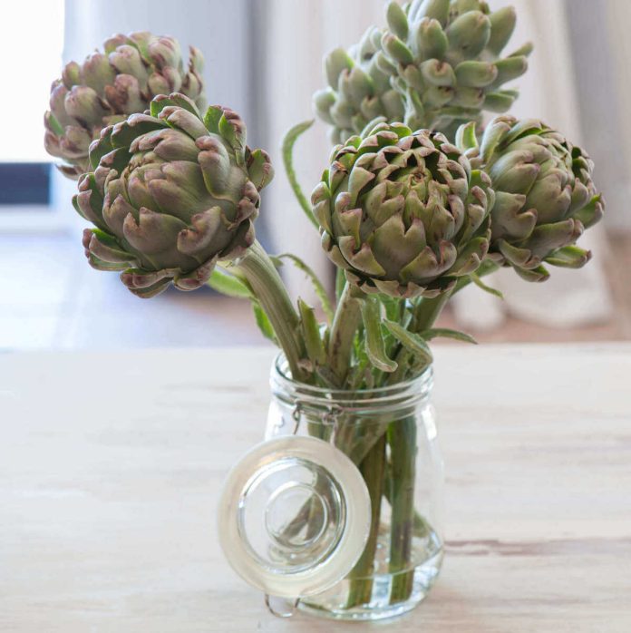 Carciofi conservati in acqua nel vaso