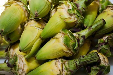 Aspetto di carciofi non più freschi già mondati