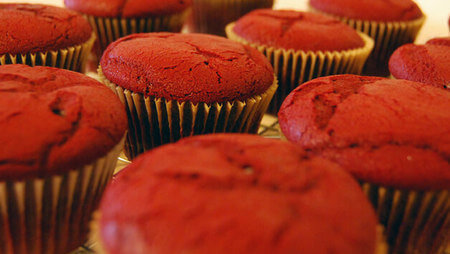 Red velvet cupcakes cotti fatti raffreddare su una gratella 