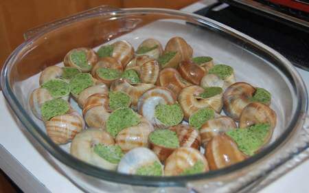 Lumache farcite ancora da cuocere in forno