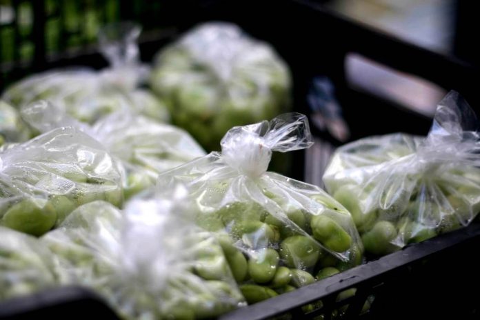 Fave fresche conservate nel freezer in sacchetti gelo