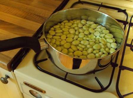 Fave fatte sbianchire in acqua bollente