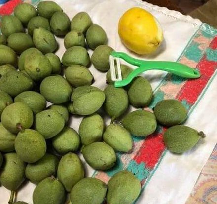 Noci non ancora mature lavate e asciugate su canovaccio di cotone