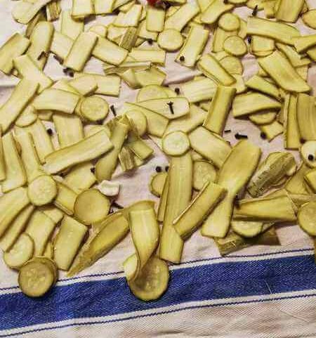 Zucchine lesse lasciate raffreddare su un canovaccio