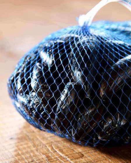 Cozze vive nella retina di plastica