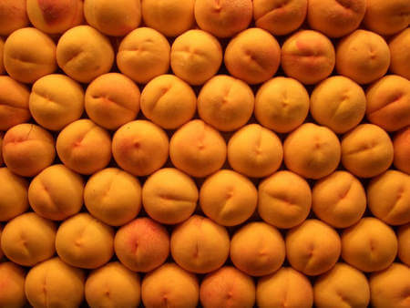 Pesche percoche fresche ed integre.