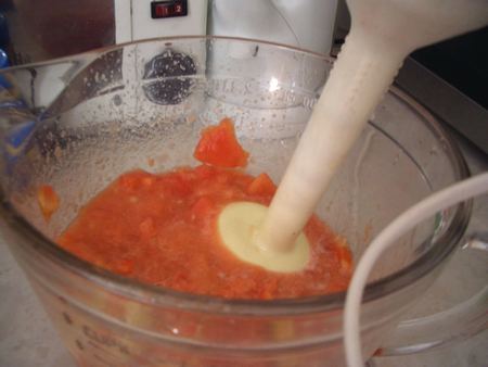 Gazpacho frullato con il minipimer
