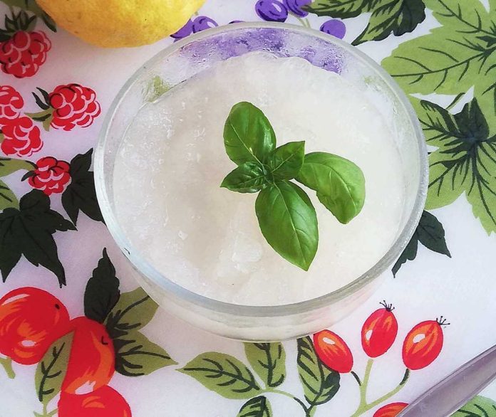 Ciotola di vetro contenente granita al limone della nonna fatta in casa senza zucchero Granita al limone della nonna senza zucchero dentro a ciotola di vetro