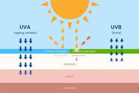 Infografica dei danni causati dai raggi UVA e dai raggi UVB sulla pelle