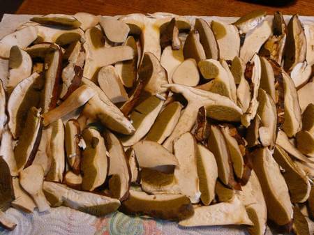 Funghi porcini crudi tagliati a striscioline su canovaccio