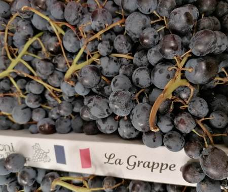 Uva Moscato d'Amburgo dentro a cassetta di cartone