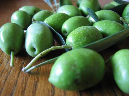 Olive ancora acerbe fresche e polpose di color verde brillante sul tavolo