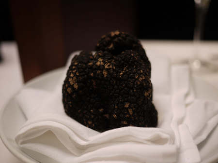 Tartufo nero dal peridio coriaceo