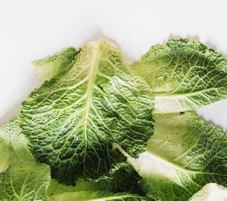 Aspetto rugoso e di colore brillante delle foglie di verza fresche