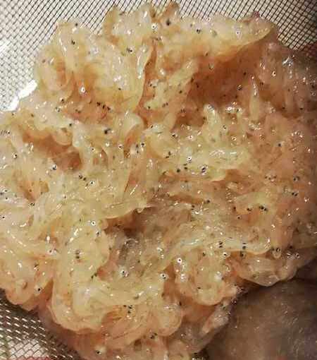 Rossetti freschissimi crudi