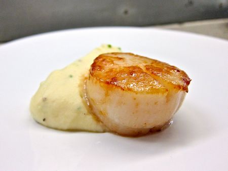 Capasanta al gratin con purè di patate