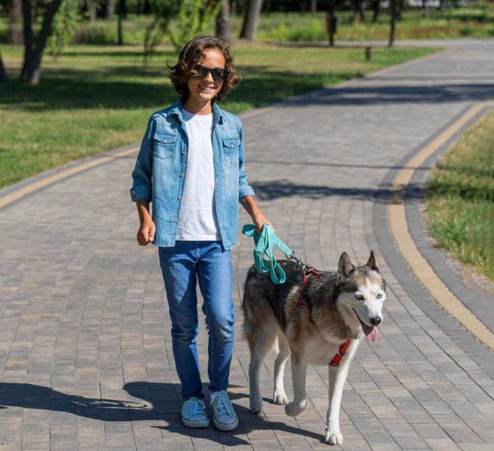 Ragazzo tiene il cane a guinzaglio corto per proteggerlo dalla processionaria