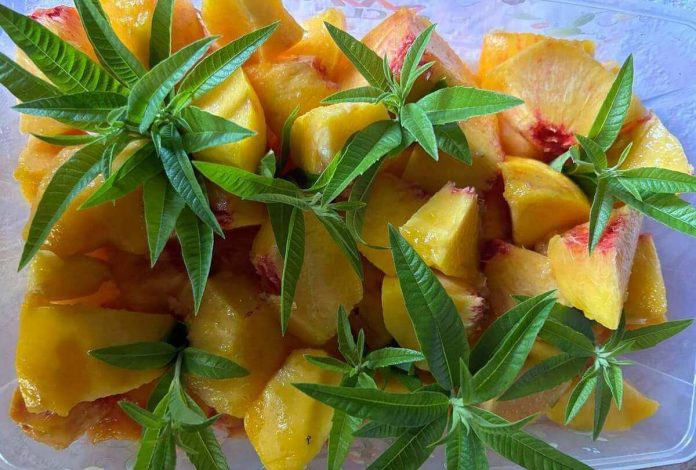 Dadolata di pesche gialle al vino bianco con erba Luigia