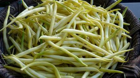 Fagiolini di varietà rocquencourt di colore giallo chiaro