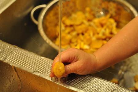 Come lavare rapidamente i finferli ad uno ad uno