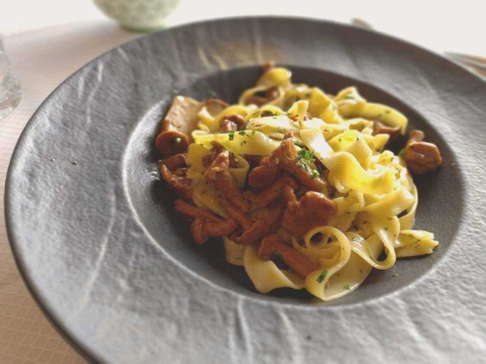 Piatto contenente tagliatelle condite con finferli in bianco Tagliatelle con finferli freschi in bianco nel piatto