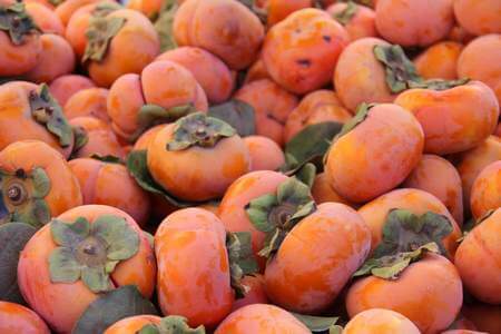 Cachi maturi al punto giusto