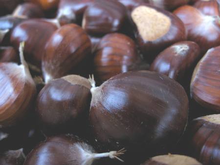 Castagne selvatiche particolarmente grosse